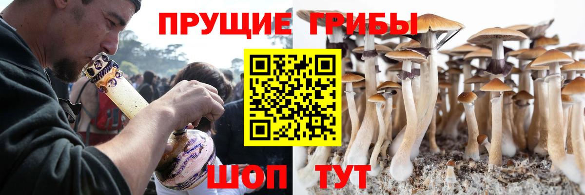 Псилоцибиновые грибы мухоморы  Вход с VPN  наркотики  Кандалакша 