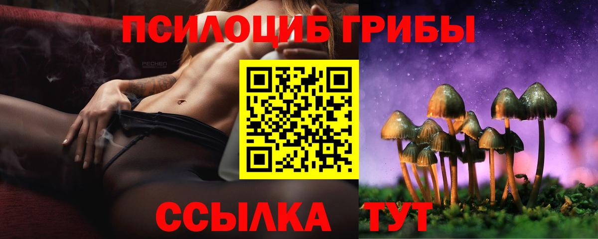 Галлюциногенные грибы MAGIC MUSHROOMS Кандалакша